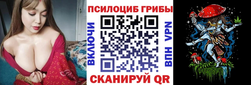 Купить где  Полевской  Псилоцибиновые грибы GOLDEN TEACHER 